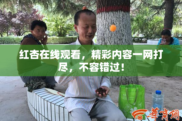 红杏在线观看，精彩内容一网打尽，不容错过！