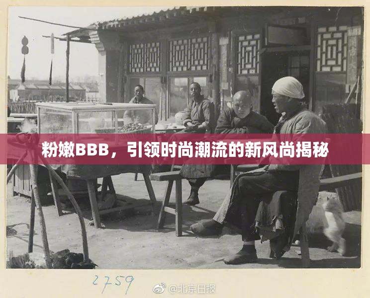 粉嫩BBB，引领时尚潮流的新风尚揭秘