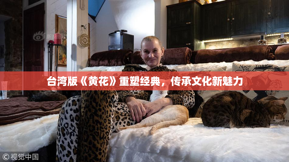 台湾版《黄花》重塑经典，传承文化新魅力