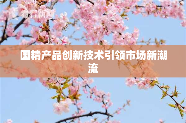 国精产品创新技术引领市场新潮流
