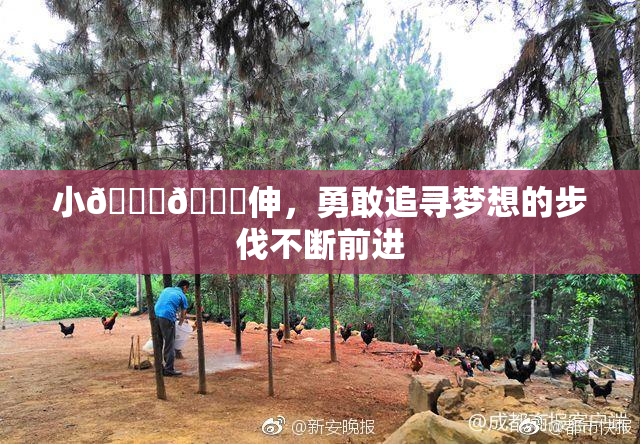 小🐔🐔伸，勇敢追寻梦想的步伐不断前进