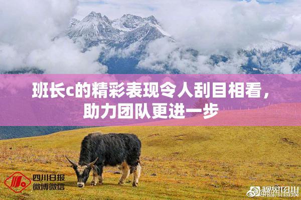 班长c的精彩表现令人刮目相看，助力团队更进一步