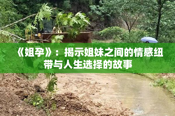 《姐孕》：揭示姐妹之间的情感纽带与人生选择的故事
