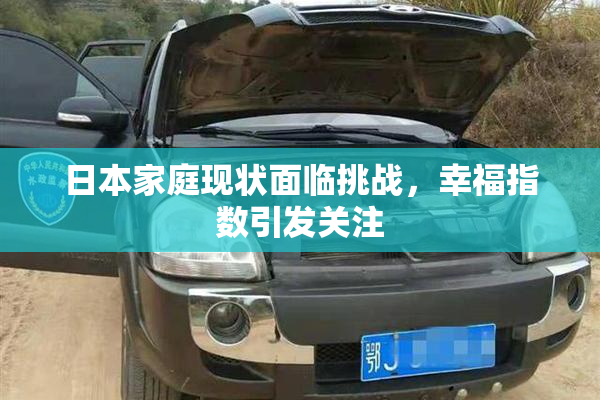 日本家庭现状面临挑战，幸福指数引发关注