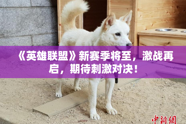 《英雄联盟》新赛季将至，激战再启，期待刺激对决！