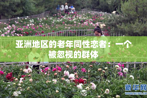 亚洲地区的老年同性恋者：一个被忽视的群体