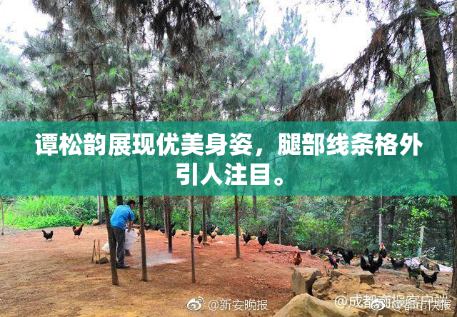 谭松韵展现优美身姿，腿部线条格外引人注目。