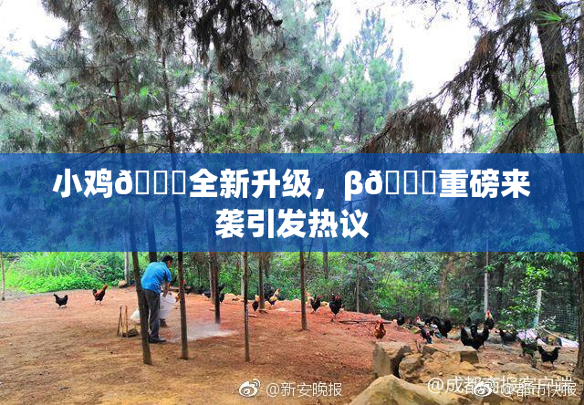 小鸡🐔全新升级，β🔞重磅来袭引发热议