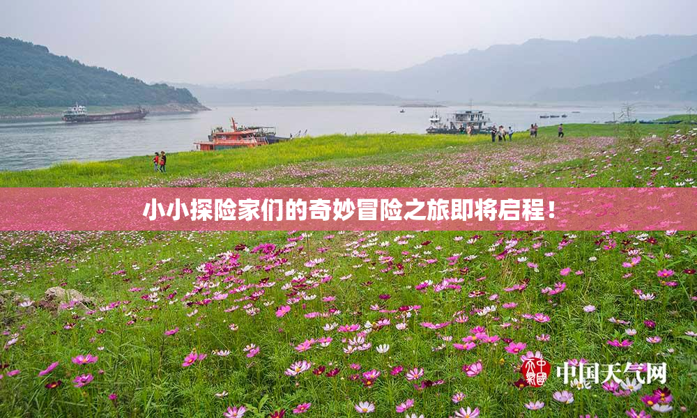 小小探险家们的奇妙冒险之旅即将启程！