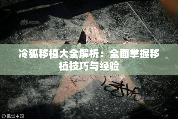 冷狐移植大全解析：全面掌握移植技巧与经验