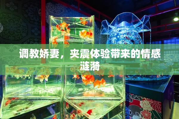 调教娇妻，夹震体验带来的情感涟漪