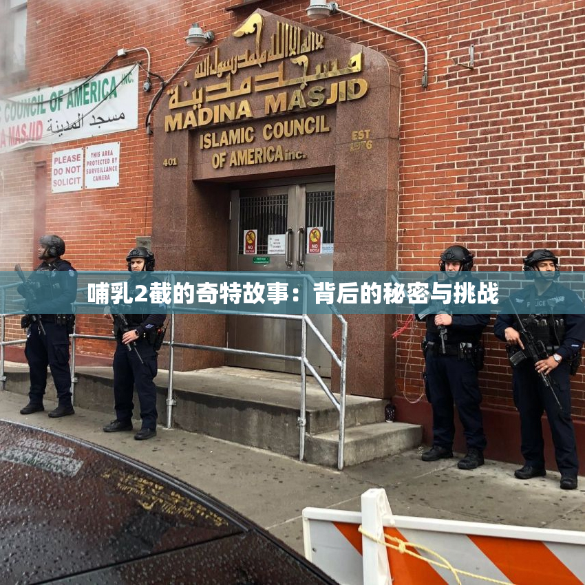 哺乳2截的奇特故事：背后的秘密与挑战