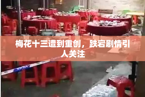 梅花十三遭到重创，跌宕剧情引人关注