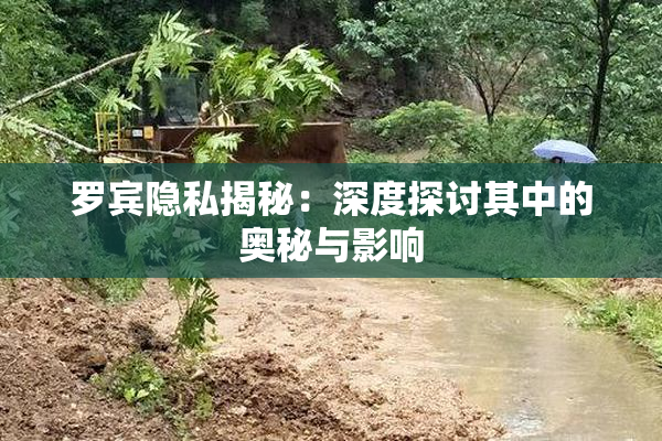 罗宾隐私揭秘：深度探讨其中的奥秘与影响