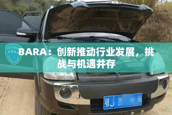 BARA：创新推动行业发展，挑战与机遇并存