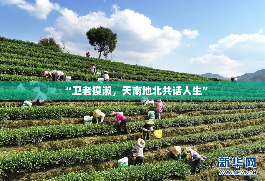 “卫老摸淑，天南地北共话人生”