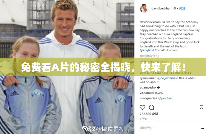 免费看A片的秘密全揭晓，快来了解！