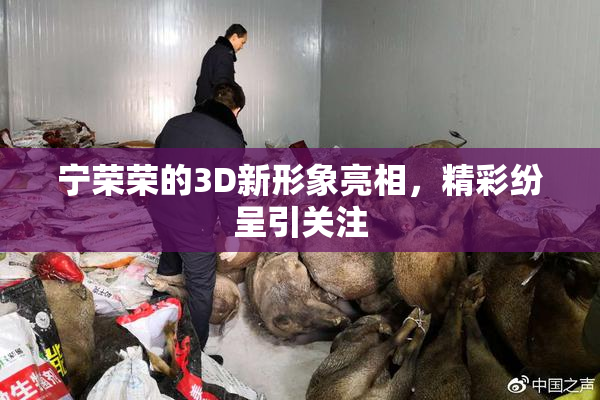 宁荣荣的3D新形象亮相，精彩纷呈引关注