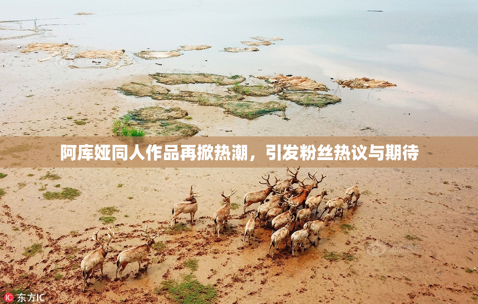 阿库娅同人作品再掀热潮，引发粉丝热议与期待