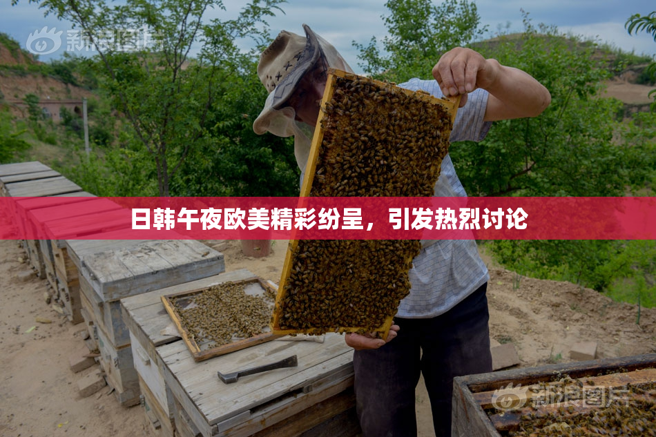 日韩午夜欧美精彩纷呈，引发热烈讨论