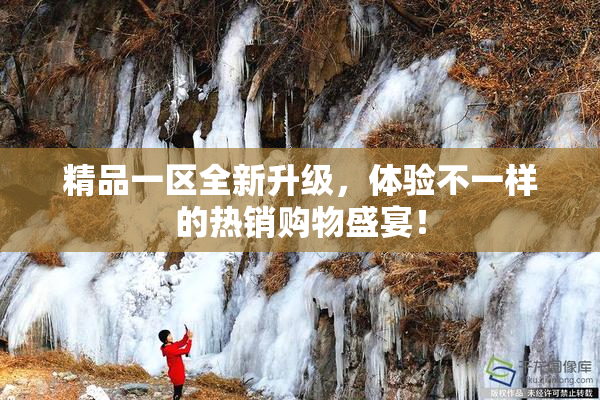 精品一区全新升级，体验不一样的热销购物盛宴！