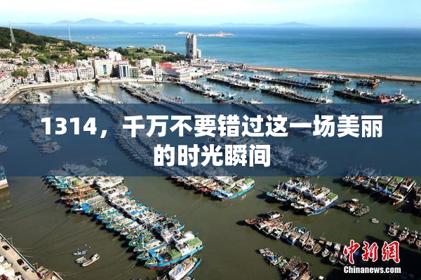 1314，千万不要错过这一场美丽的时光瞬间