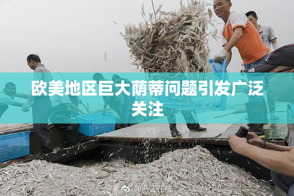 欧美地区巨大荫蒂问题引发广泛关注