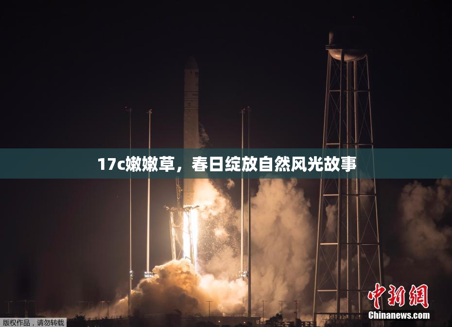 17c嫩嫩草，春日绽放自然风光故事