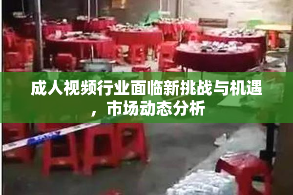 成人视频行业面临新挑战与机遇，市场动态分析