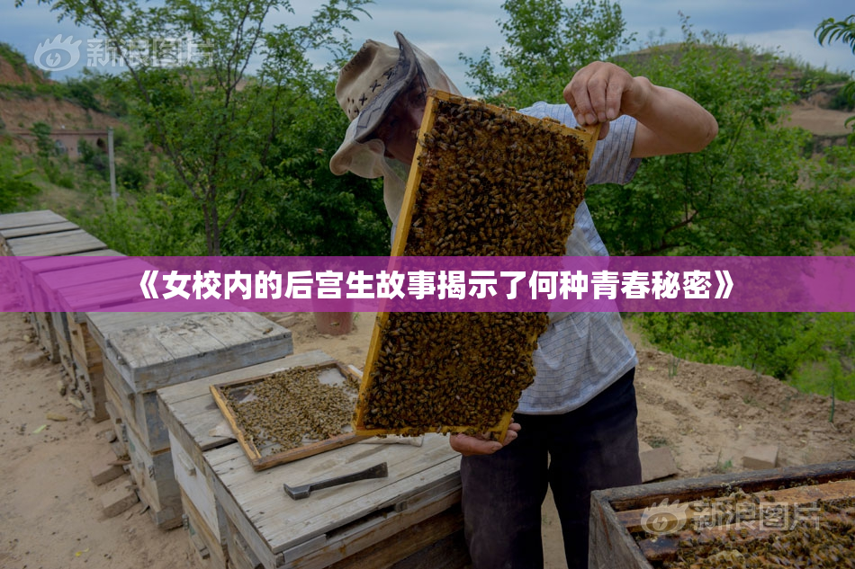 《女校内的后宫生故事揭示了何种青春秘密》