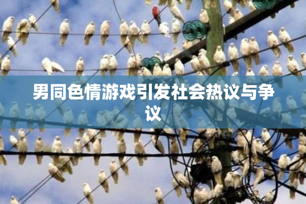 男同色情游戏引发社会热议与争议
