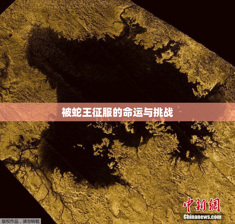 被蛇王征服的命运与挑战
