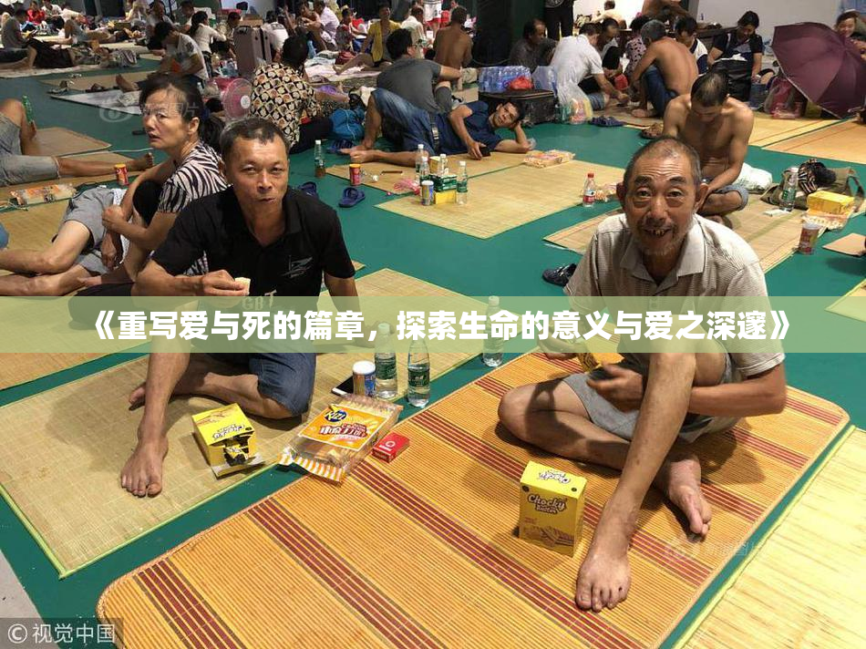 《重写爱与死的篇章，探索生命的意义与爱之深邃》