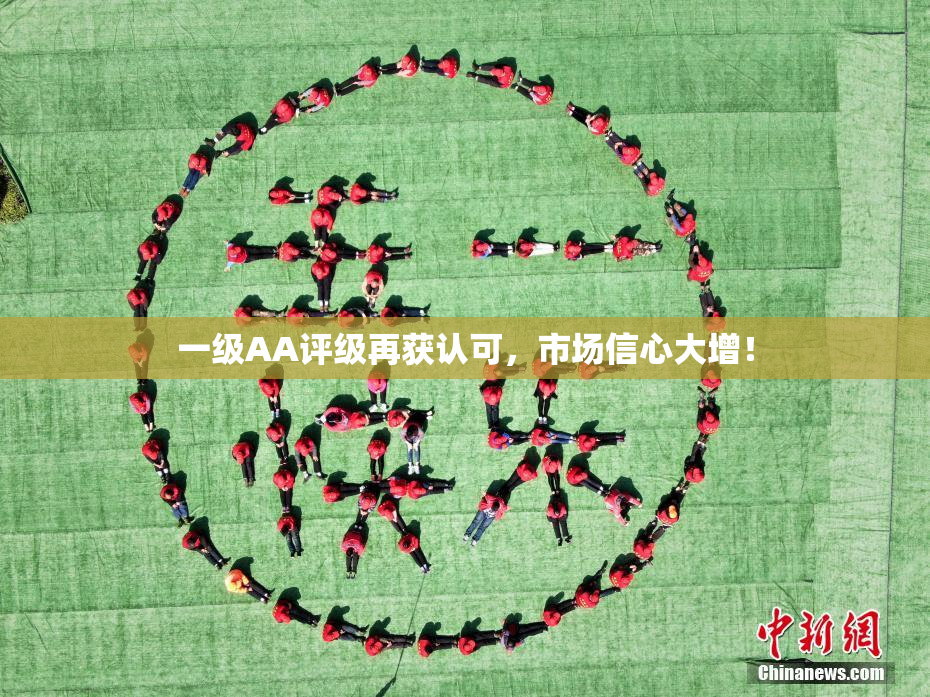 一级AA评级再获认可，市场信心大增！