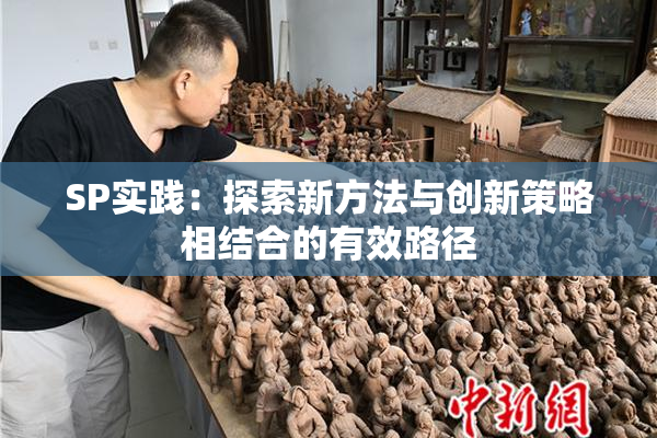 SP实践：探索新方法与创新策略相结合的有效路径