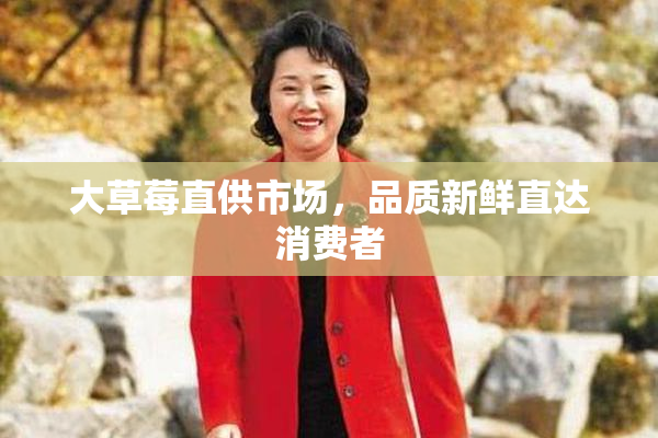 大草莓直供市场，品质新鲜直达消费者