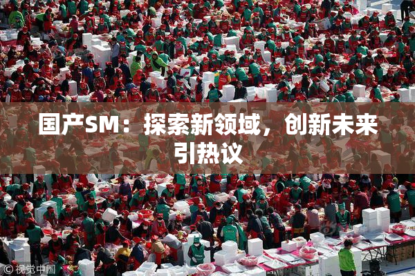 国产SM：探索新领域，创新未来引热议