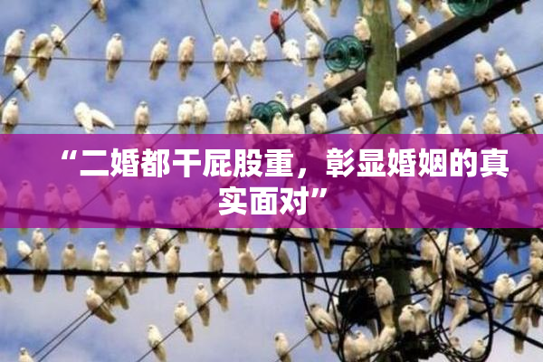 “二婚都干屁股重，彰显婚姻的真实面对”