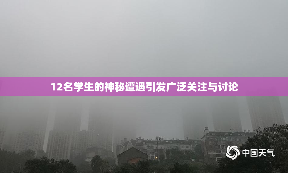 12名学生的神秘遭遇引发广泛关注与讨论