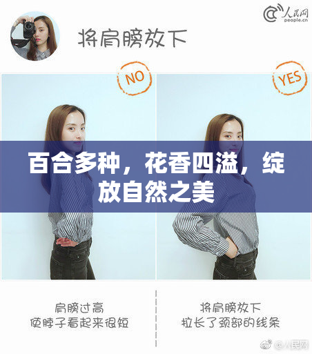 百合多种，花香四溢，绽放自然之美
