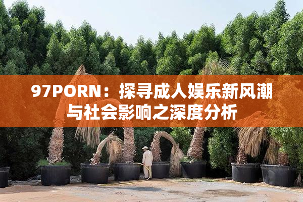 97PORN：探寻成人娱乐新风潮与社会影响之深度分析