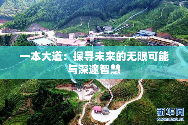 一本大道：探寻未来的无限可能与深邃智慧