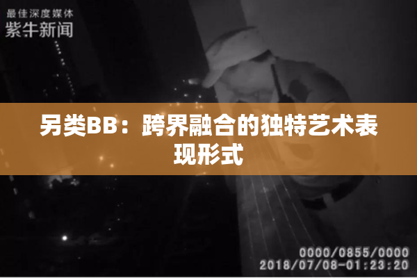 另类BB：跨界融合的独特艺术表现形式