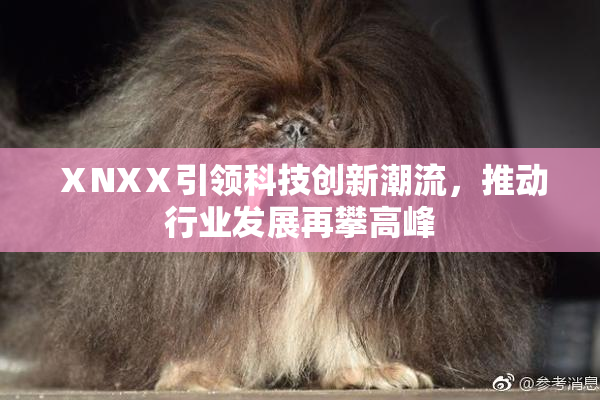 ⅩNXⅩ引领科技创新潮流，推动行业发展再攀高峰