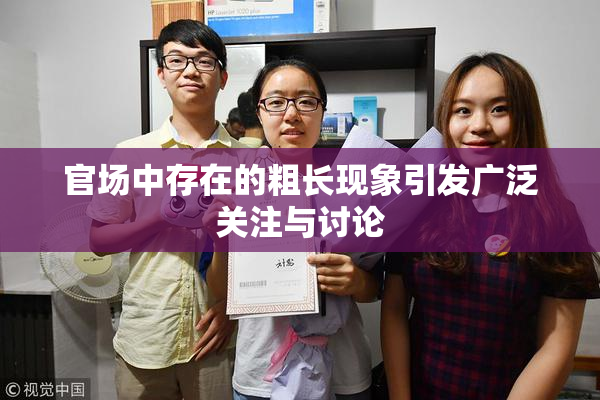 官场中存在的粗长现象引发广泛关注与讨论