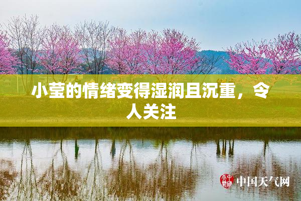 小莹的情绪变得湿润且沉重，令人关注
