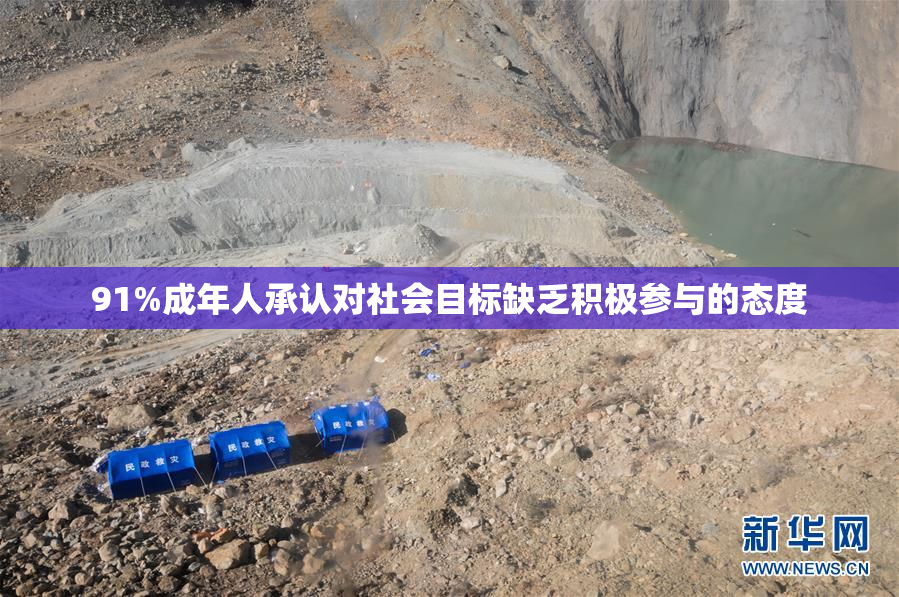 91%成年人承认对社会目标缺乏积极参与的态度