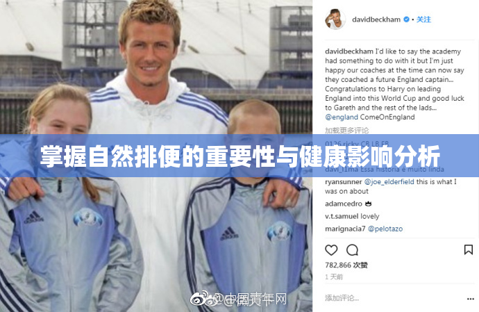 掌握自然排便的重要性与健康影响分析