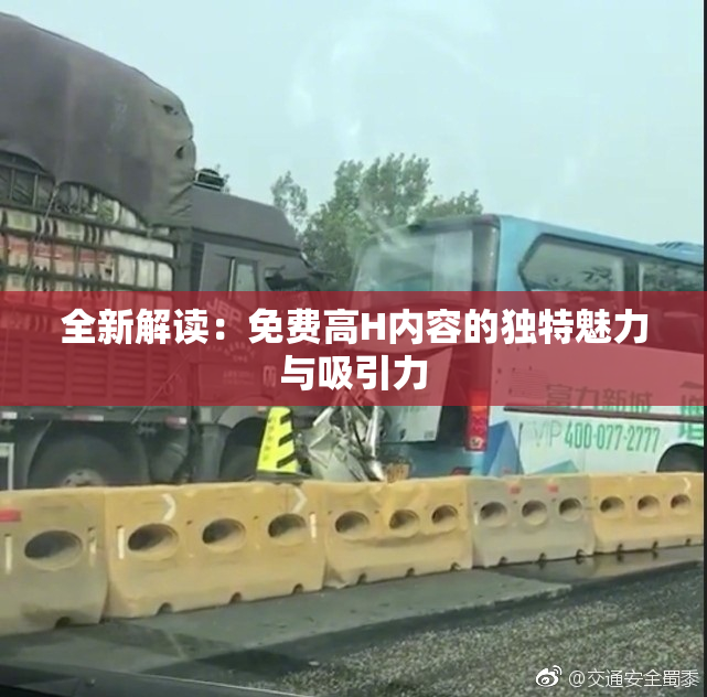 全新解读：免费高H内容的独特魅力与吸引力