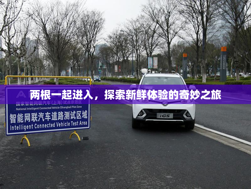 两根一起进入，探索新鲜体验的奇妙之旅